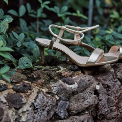 Ekonika-2019-TRC-Vertical-collection-001043